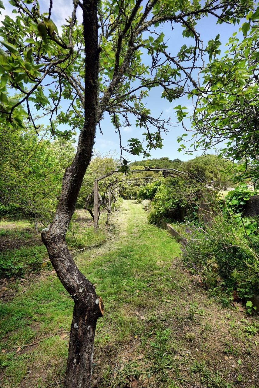 Casa da Rampa Villa Sintra Bagian luar foto
